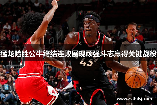 猛龙险胜公牛终结连败展现顽强斗志赢得关键战役