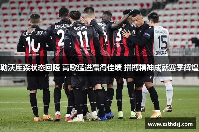 勒沃库森状态回暖 高歌猛进赢得佳绩 拼搏精神成就赛季辉煌