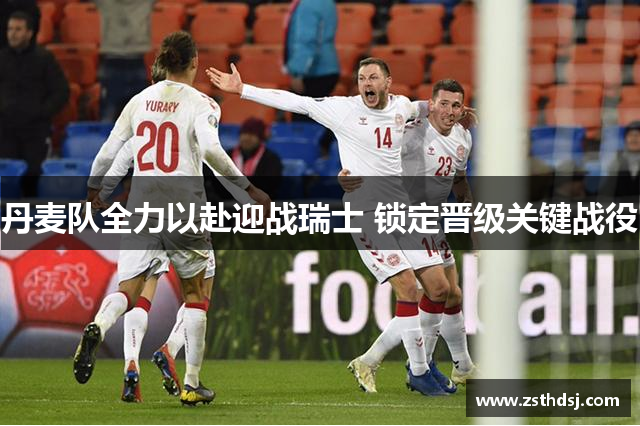 丹麦队全力以赴迎战瑞士 锁定晋级关键战役
