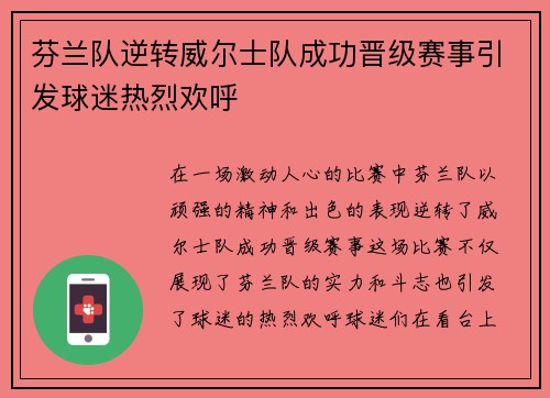 芬兰队逆转威尔士队成功晋级赛事引发球迷热烈欢呼