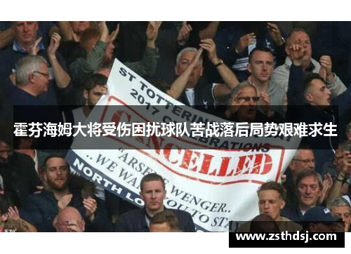 霍芬海姆大将受伤困扰球队苦战落后局势艰难求生