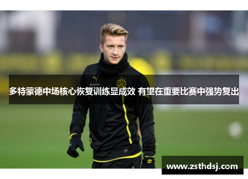 多特蒙德中场核心恢复训练显成效 有望在重要比赛中强势复出