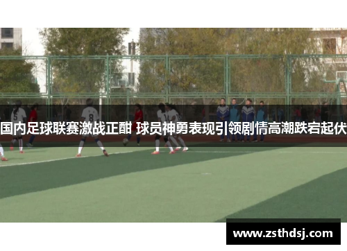 国内足球联赛激战正酣 球员神勇表现引领剧情高潮跌宕起伏