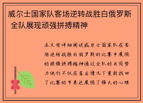 威尔士国家队客场逆转战胜白俄罗斯 全队展现顽强拼搏精神