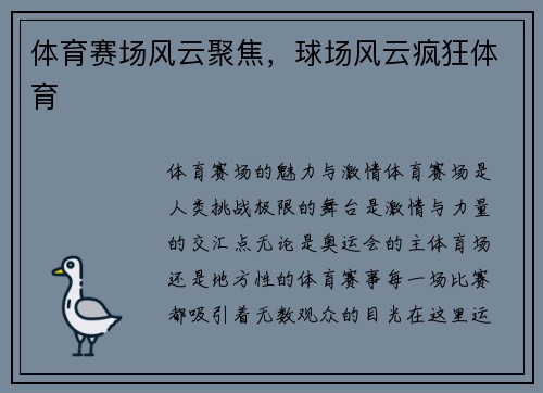 体育赛场风云聚焦，球场风云疯狂体育