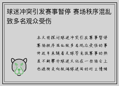 球迷冲突引发赛事暂停 赛场秩序混乱致多名观众受伤